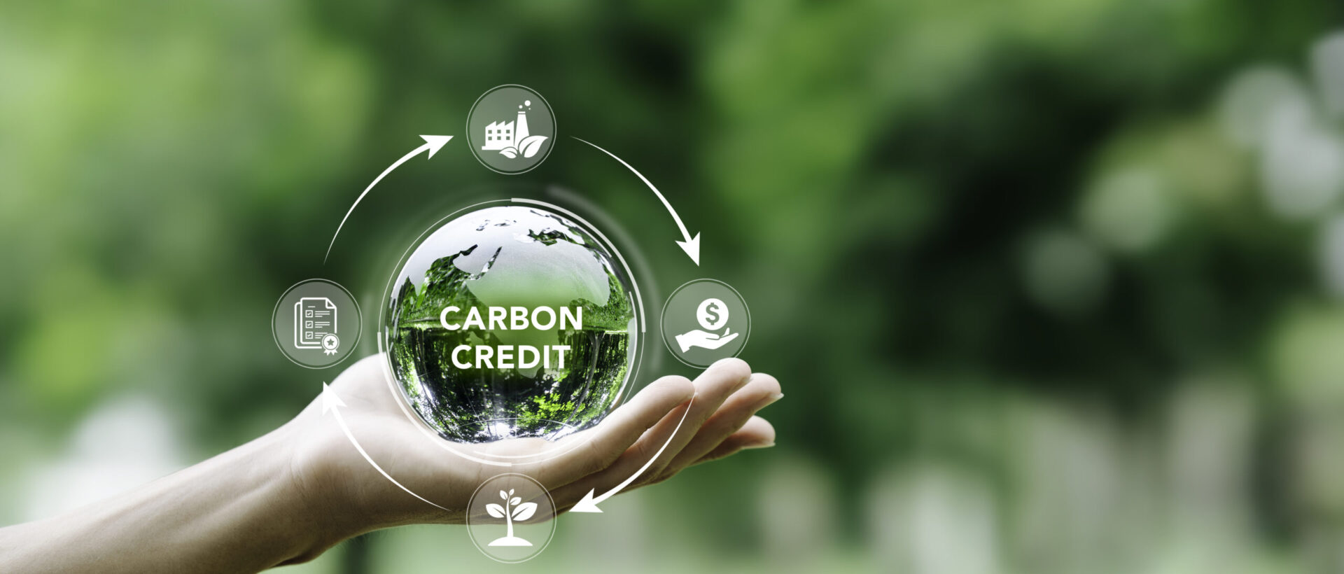 Carbon credit