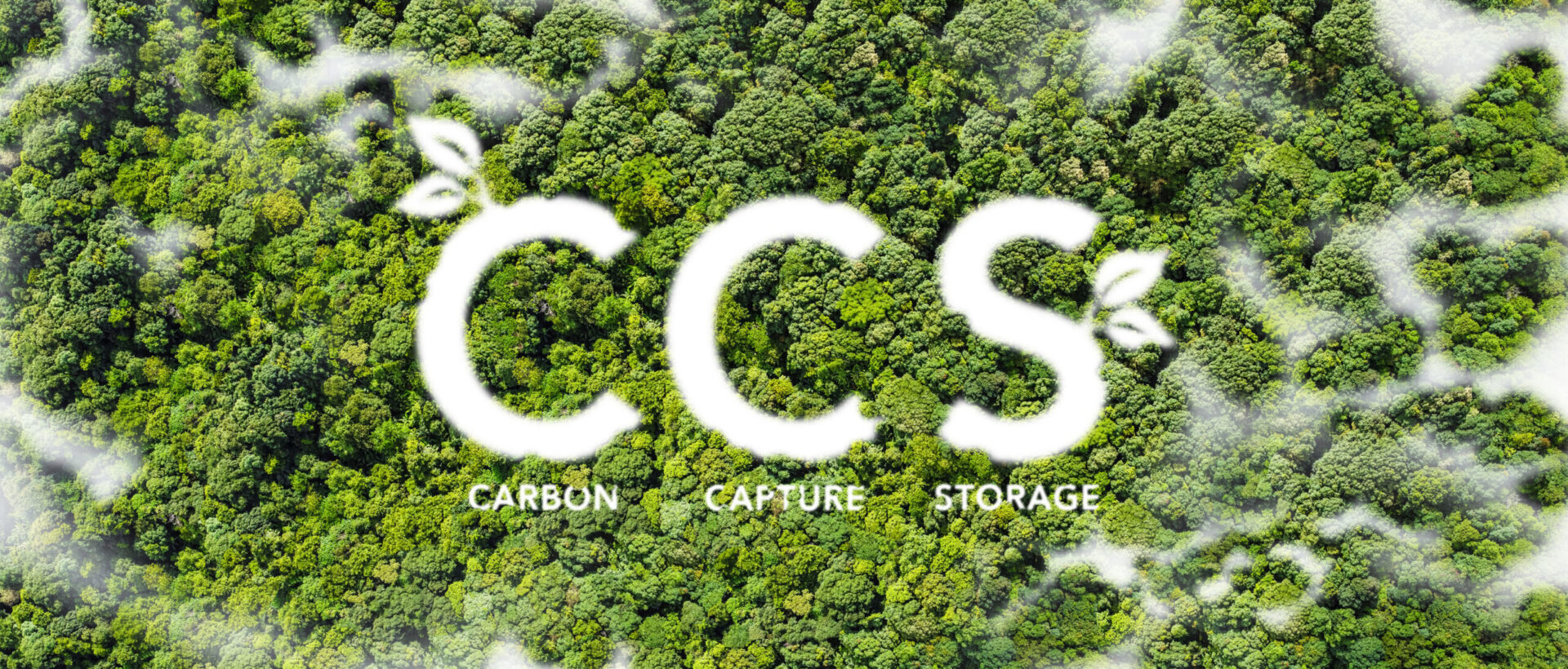 CarbonCaptureStoragelight