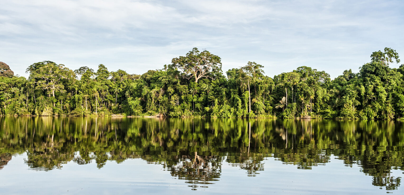 Regenwald mit Fluss 2 hellerSlide pic3
